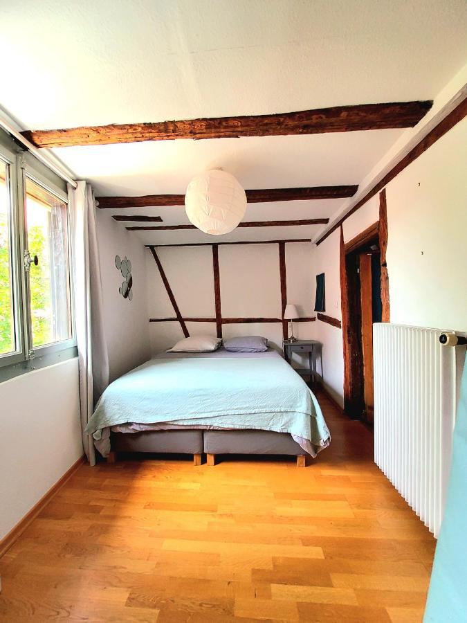 Gite 3 étoiles Les Tilleuls Colmar Esterno foto