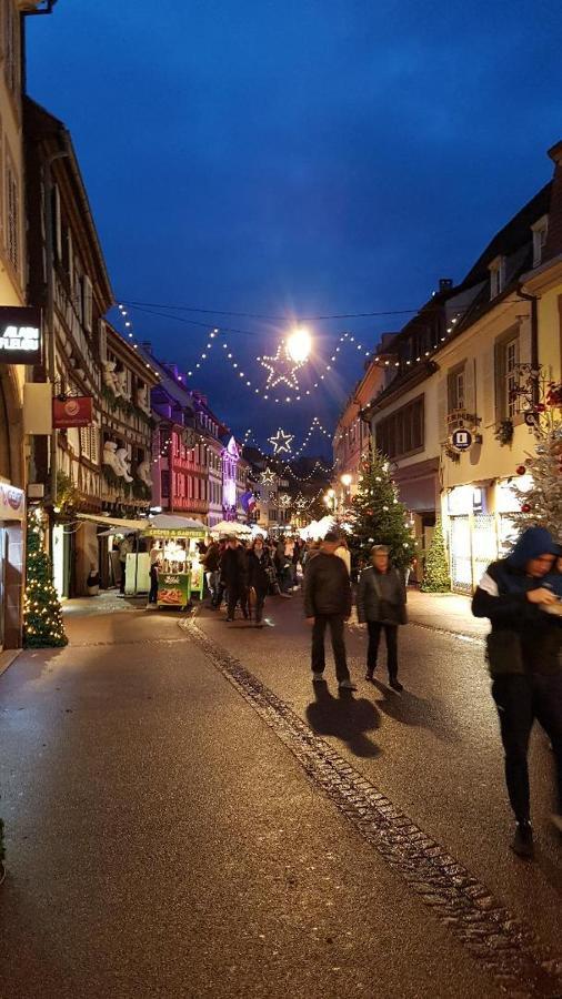 Gite 3 étoiles Les Tilleuls Colmar Esterno foto