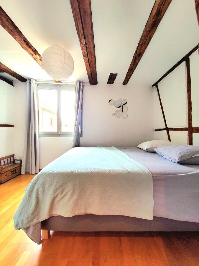 Gite 3 étoiles Les Tilleuls Colmar Esterno foto