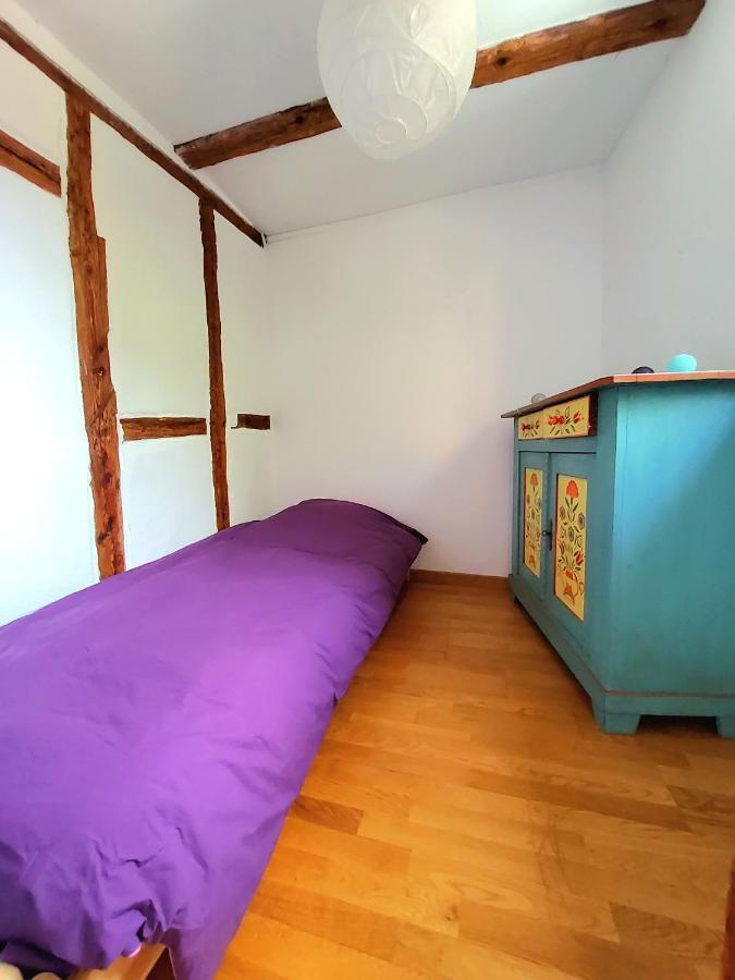Gite 3 étoiles Les Tilleuls Colmar Esterno foto